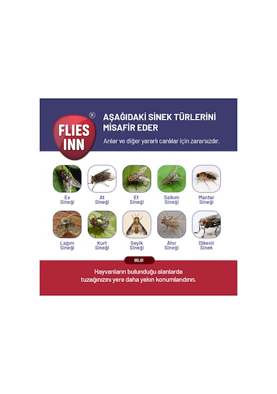 6 FLIES’ INN – LITE Karasinek tuzağı