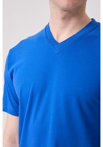 Galanthus V Yaka T-shirt - Nefes Alabilir, Rahat Ve Sade Tasarım Saxmavi