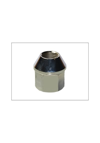 Bijon Somunu Renault Master (Sw 24 M16/1,5 31) 2 Adet