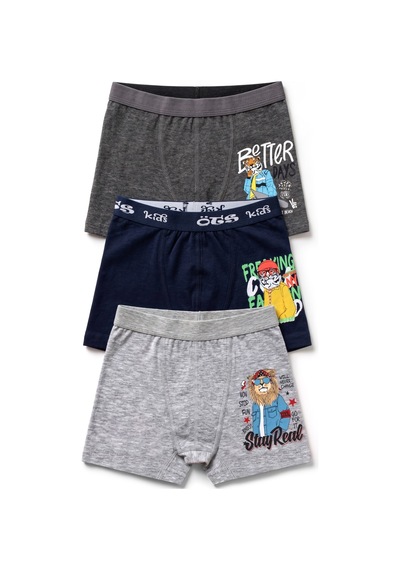 Öts Erkek Çocuk 3 Lü Pamuklu Boxer Baskılı Günlük Klasik Model 7386-3 Renkli