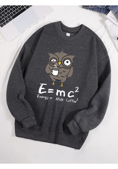 Startmore Startmorebaykuş İçme Kahve Ve Geç Kalma Desen Erkek Kazak Sonbahar 0-boyun Kazak Hip Hop Giysileri Uni Antrasit