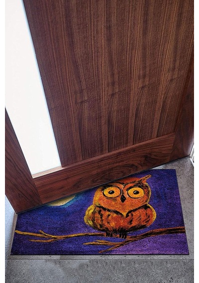 Tr Baykuş Kapı Önü Paspası Dekoratif Kapı Paspası Dış Mekân Paspas Ev İçi Paspası 45x70cm Diğer
