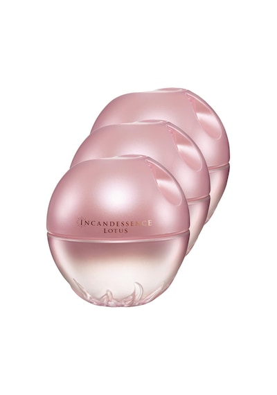 Incandessence Lotus Kadın Parfüm Edp 50 Ml. Üçlü Set Aromatik