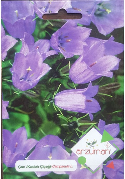 KadehÇan Çiçeği Tohumu 100 Adet Tohum N113170