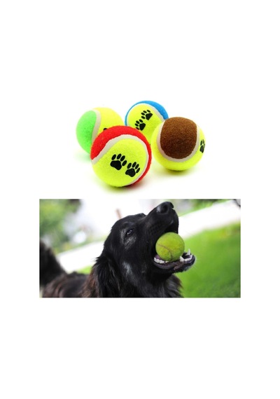 Köpek Oyuncağı 3 Parça Desenli Tenis Topu Kedi Renkli