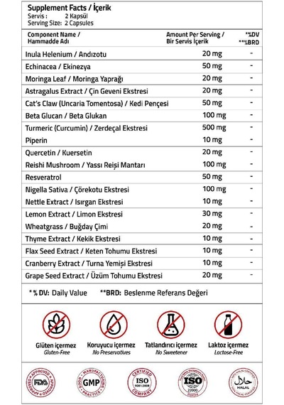Curcumin 500 Mg + Piperin + Inula Henelium + Astragalus + Quercetin + Reishi + Moringa 60 Capsules