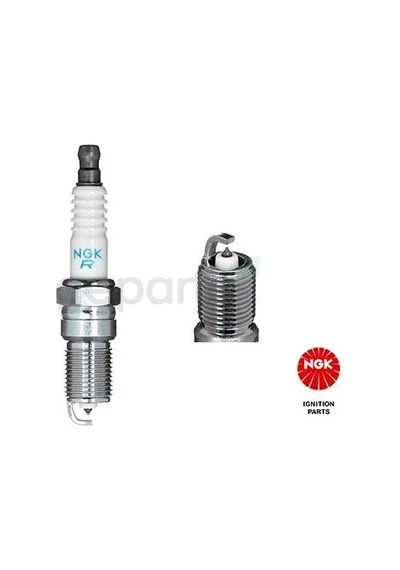 Buji Tr6ap-13e Jaguar Stype 2.5 V6 3.0 V6 Xf 3.0 Xj 3.0 Xtype 2.5 3.0 2.5 V6 3.0v6 4 Adet