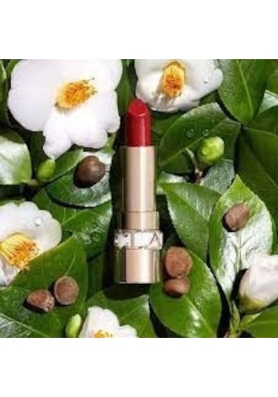 Clarins Joli Satin Lipstick Ruj 742
