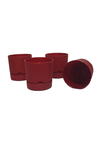 Poliwork 4 Lü Begonya 15 Cm Renkli Plastik Tabaklı Saksı