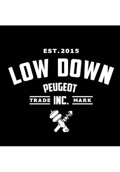 Low Down Peugeot Arka Cam Sticker 40 31 Cm