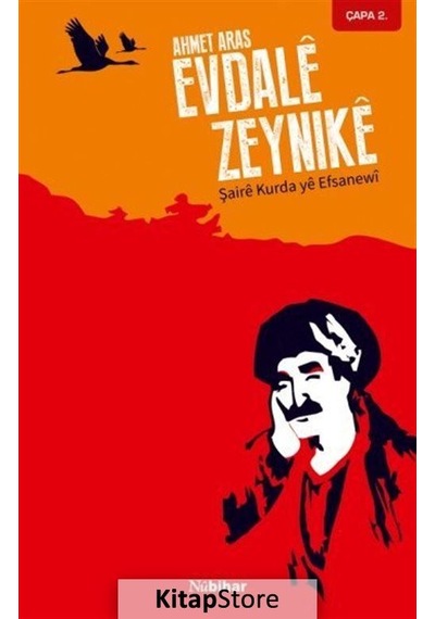 Evdela Zeynike - Ahmet Aras - Nubihar Yayınları