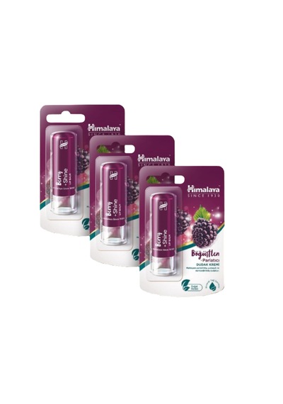Himalaya Berry Parlatıcı ve Nemlendirici Dudak Bakım Kremi 3 x 4.5 G
