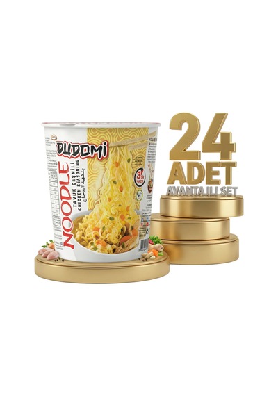 Dudomi Bardak Tavuk Çeşnili 24x60 Gr