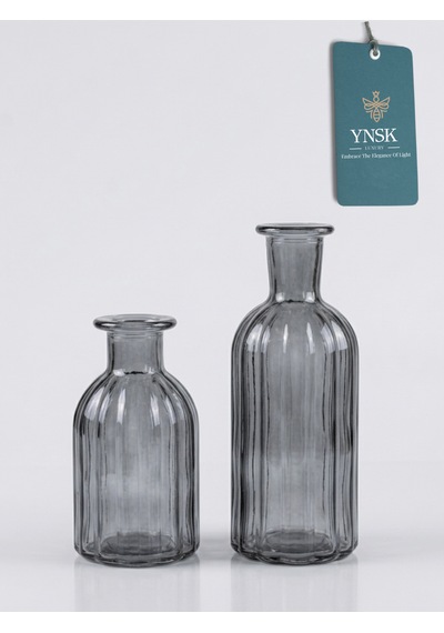 2 Li Cam Vazo Seti Minimalist Dekoratif Modern Nordic Çiçeklik Masa Üstü Vazo Füme