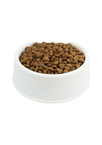Adult Düşük Tahıllı Taze Somonlu Yetişkin Kedi Maması 10 Kg