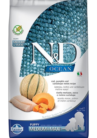 N&D Ocean Morina Balıklı Balkabağı ve Kavunlu Büyük ve Orta Irk Yavru Köpek Maması 2500 G