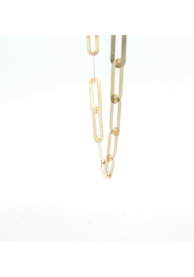 14 Ayar Altın Oval Paperclip Zincir Kolye