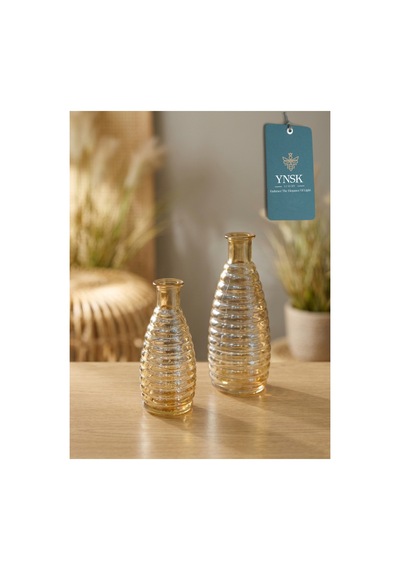 Chacha Home Luxury Elara 2 'li Minimalist İthal Dekor Cam Vazo Bal