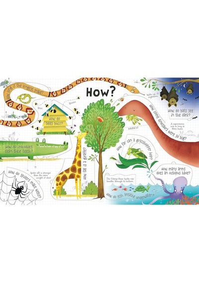 Penguin Books Lift-the-flap Questions and Answers About Animals Board Book Katie Daynes