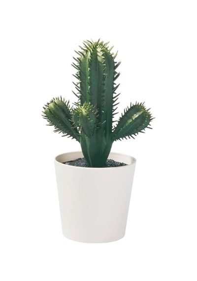 Tr Yapay Bitki, Yeşil, 6 Cm, Kaktüs, İç/dış Mekan Diğer