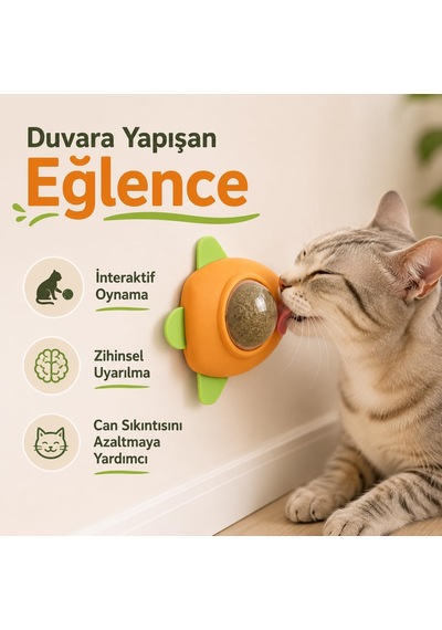 Sogud Kedi Nanesi Oyuncağı - Kedi Otu İçeren 360 Dönen Catnip Topu - Duvara Yapışan Yalama Ve Isırma Oyuncağı - Şeffaf Kapaklı Avokado Tasarım - Ev Kedileri İçin Aktivite Ürünü 1 Adet