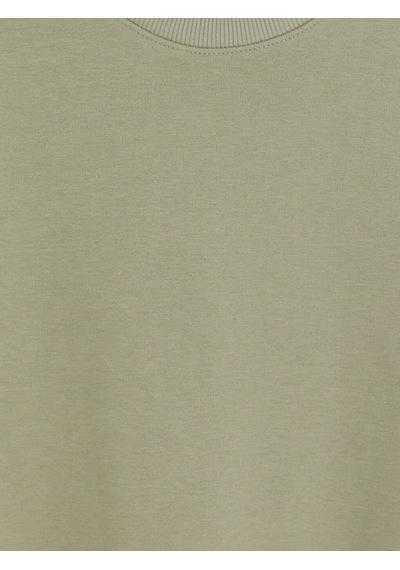 Lcwaıkıkı Classic Yeşil Bisiklet Yaka Erkek Kalın Sweatshirt