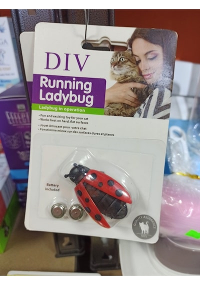 Dıv Hareketli Böcek Pilli