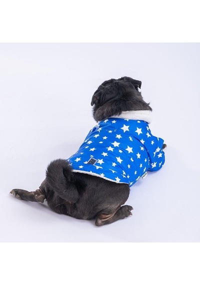 Pawstar Mavi Stars Yağmurluk Küçük Ve Orta Irk-20196