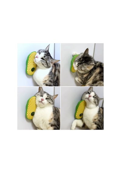 Silikon Kaşıyıcılı Kedi Otu - Pg2864