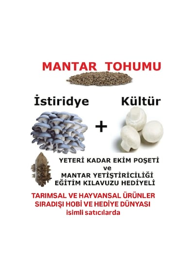 3000 Adet İstiridye Ve 3000 Adet Kültür Mantarı Tohumu