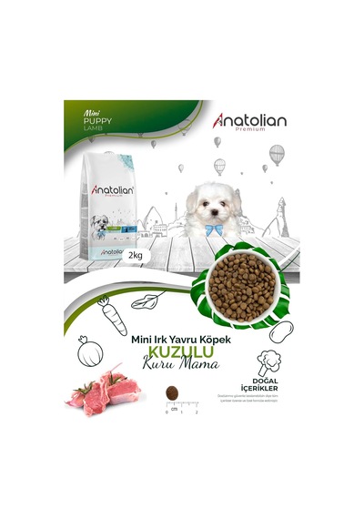 Mini Puppy Lamb Kuzulu Küçük Irk Yavru Köpek Maması 4 Kg