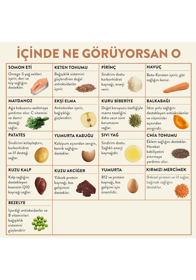 Kito Fresh Somon Etli Taze Yetişkin Köpek Yemeği 6 x 250 G