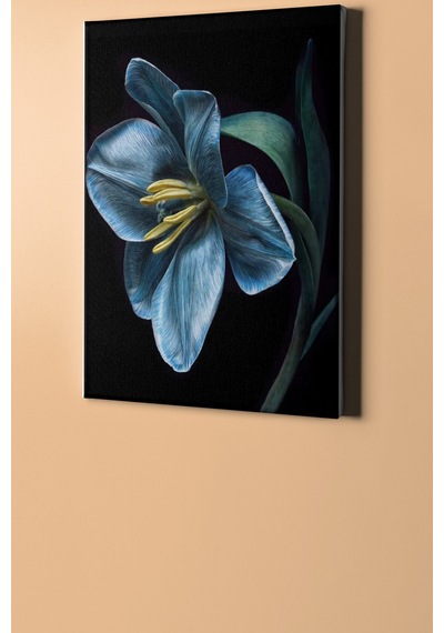 Webstyle Sayılarla Boyama Seti Kasnaklı Nilüfer 2 40 X 50 Cm