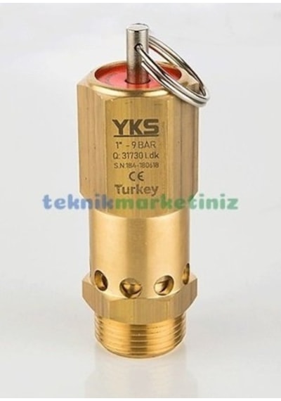 1" 5 Bar Sabit Basınçlı Mühürlü Yks Ce Belgeli Emniyet Ventili