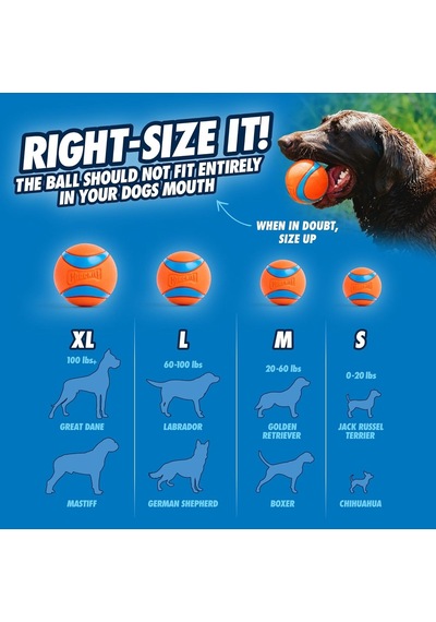 Ayrex Chuckit Fetch Medley Gen 3 Ultra Ball, Fetch Ball, Rugged Ball 3'lü Köpek Oyun Topu Seti Orta Boy