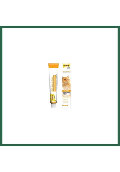 Gimcat Multi Vitamin Kedi Macunu 100 Gr Bzs01