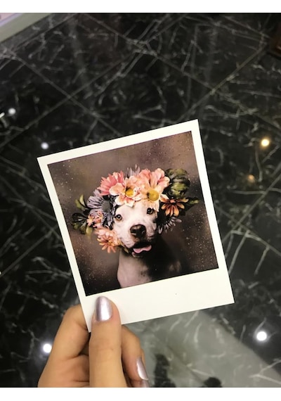 10 Adet Polokart Baskı