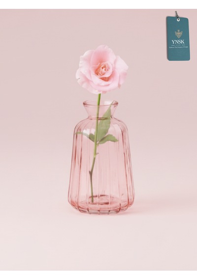 Chacha Home Modern 3'lü Minimalist Cam Çiçek Vazosu Dekoratif Masa Üstü Vazo Seti Açık Pembe