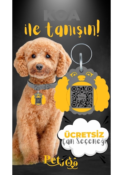 Petjoo 14.Koa Sarı-Gri Qr'lı Köpek Künyesi