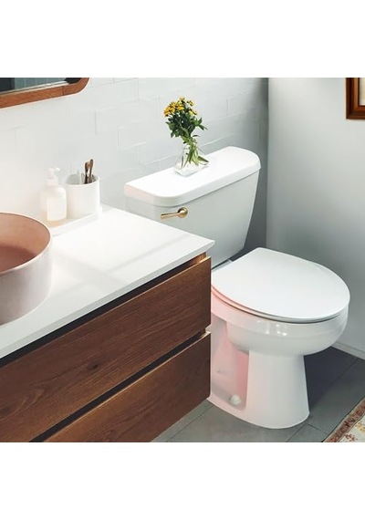 Victoria Tuvalet Tankı Kolu Fırçalanmış Pirinç 11 44 X 2 75 X 2 44 Çok Renkli