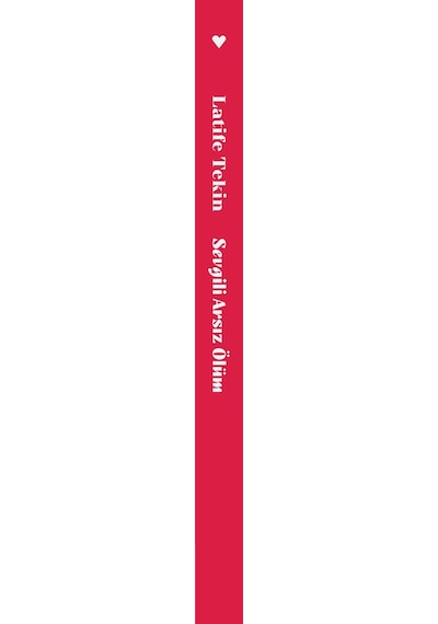 Sevgili Arsız Ölüm - Latife Tekin - Can Yayınları
