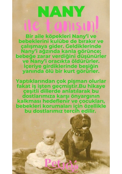 Petjoo 17.Nany Pembe-Yeşil Qr'lı Köpek Künyesi