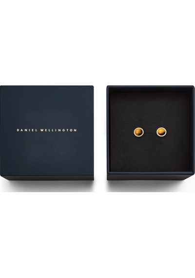 Audrey Earrings Tiger Eye Gold Gold