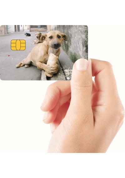 Ekmek Yiyen Köpek Tasarımlı Kredi Kartı Ve Akbil Kaplama Sticker Standart