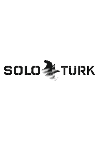 Solo Türk Gold Renk Yazı Sticker - Oto Sticker - Solo Türk