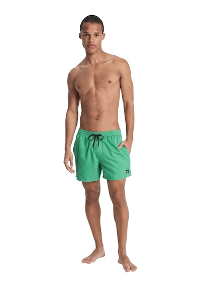 Quıksılver Quiksilver Deluxe 15 Erkek Yeşil Volley Short Gnz0