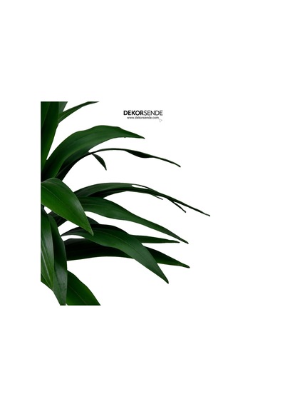 Yapay Ağaç Agave 45 Cm Yeşil
