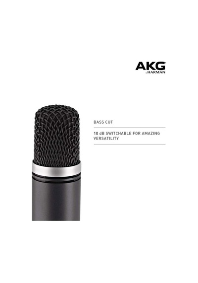 C1000s Yüksek Performanslı Küçük Diyaframlı Kondenser Mikrofon