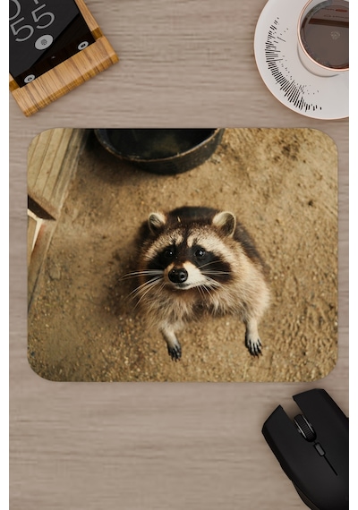 Rakun Kaymaz Dikişli Kauçuk Oyuncu Mousepad V1 - 22x18 Gaming Mouse Pad Fare Altlığı