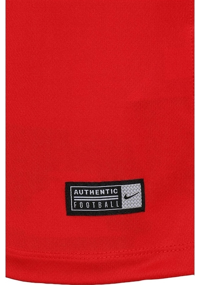 Nike Trophy Iıı - Erkek Kırmızı Spor T-Shirt - 881483-657 Çok Renkli